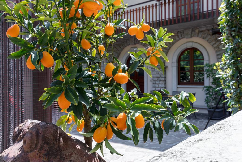 טיניאלה Villa Mariarosa Apartments מראה חיצוני תמונה